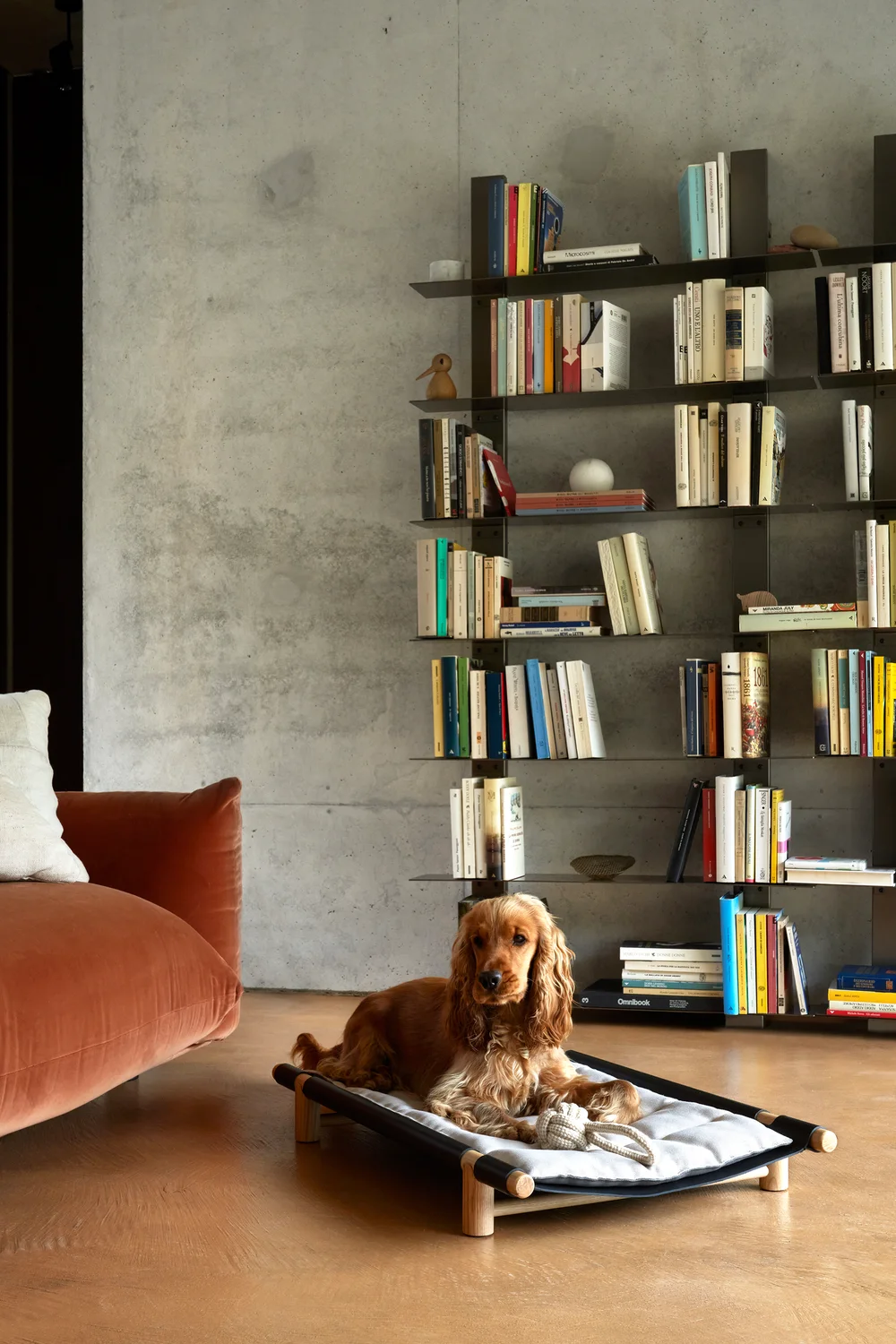 Opinion Ciatti Berberé: Low dog bed with a wooden frame and stretched surface · View 1