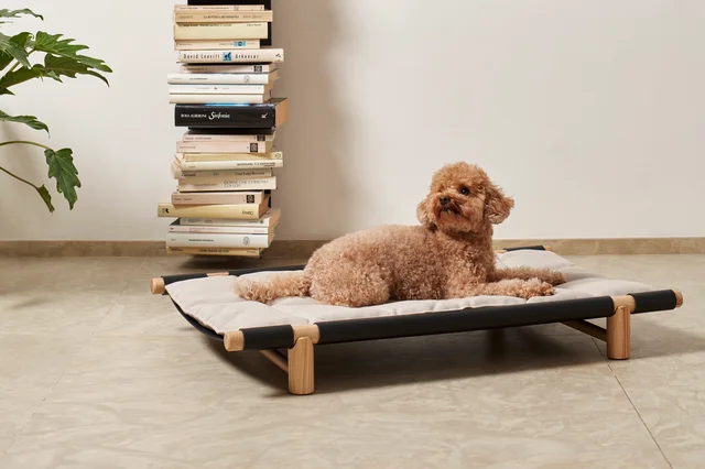 Opinion Ciatti Berberé: Low dog bed with a wooden frame and stretched surface · View 2