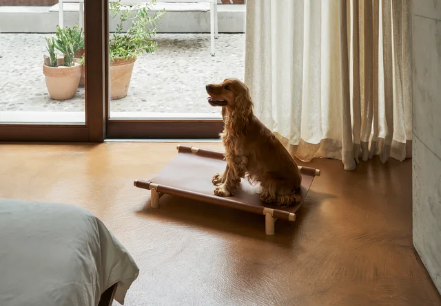 Opinion Ciatti Berberé: Low dog bed with a wooden frame and stretched surface · View 5